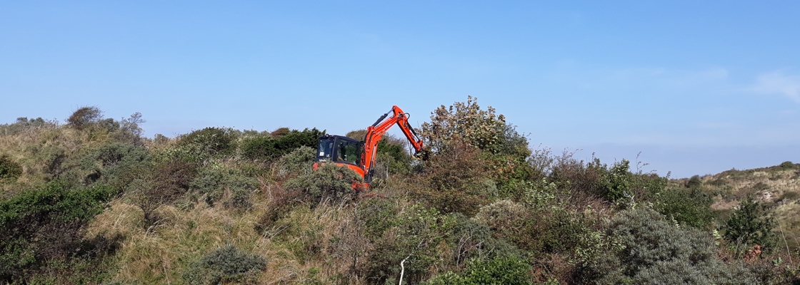 Normenboek Natuur, Bos en Landschap en Normenboek Gemeentelijk Groen