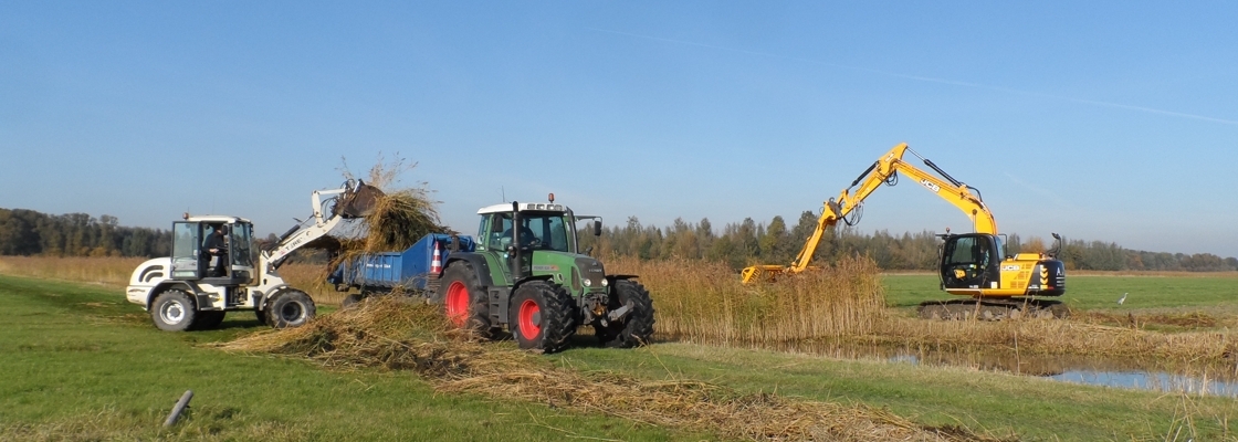 Normenboek Natuur, Bos en Landschap en Normenboek Gemeentelijk Groen